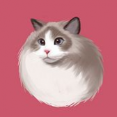 壁纸库高清免费版 