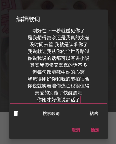 BlackPlayer EX图片7