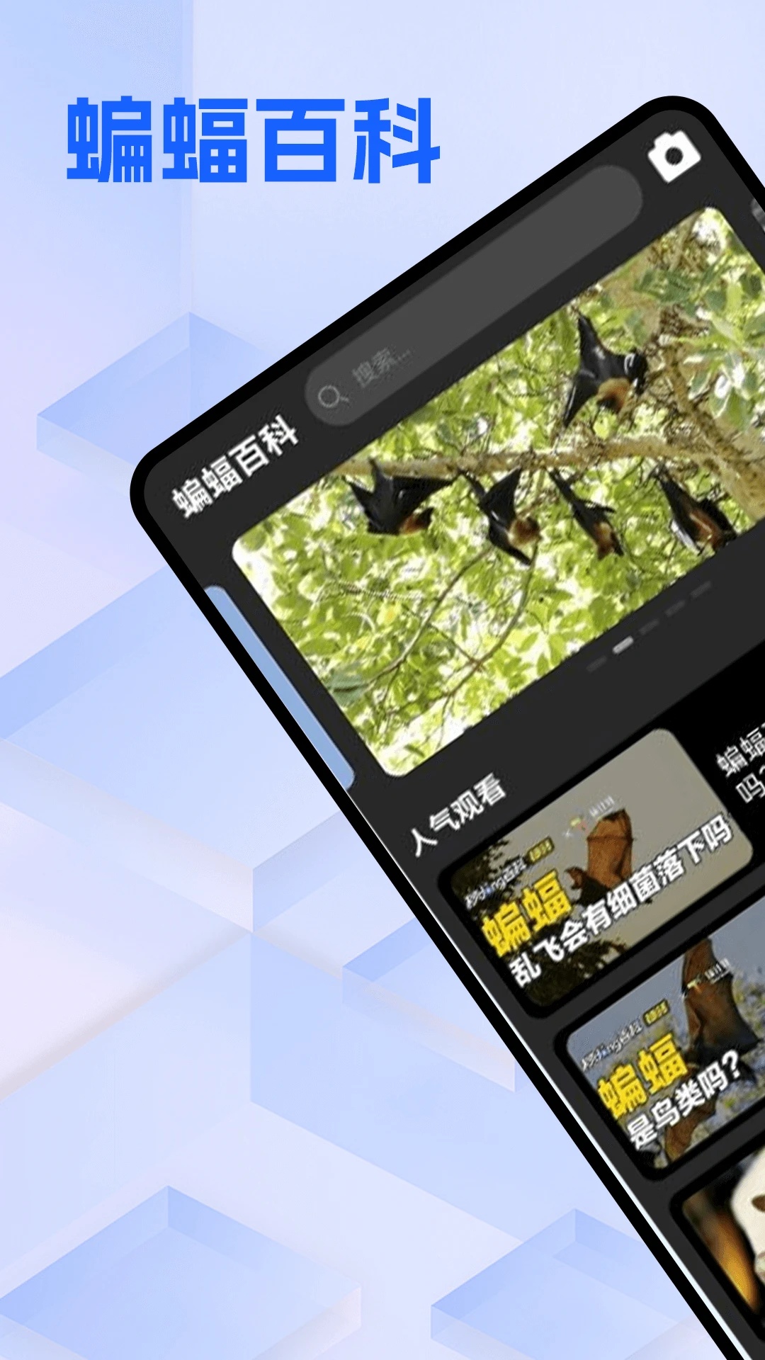 Batchat蝙蝠app v5.1