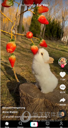 TikTok Lite