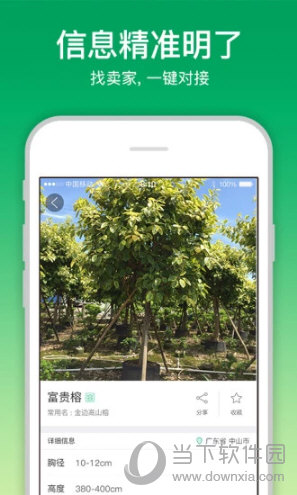 苗仓APP