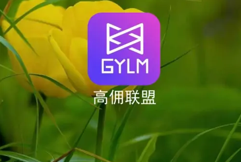 高佣联盟6
