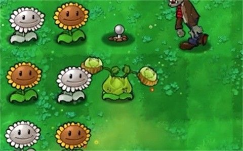 植物大战僵尸内讧版