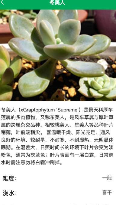 虎步花园app v1.0