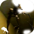 inside the backrooms中文版