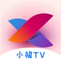 小极tv电视版