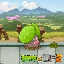 植物大战僵尸繁琐版截图