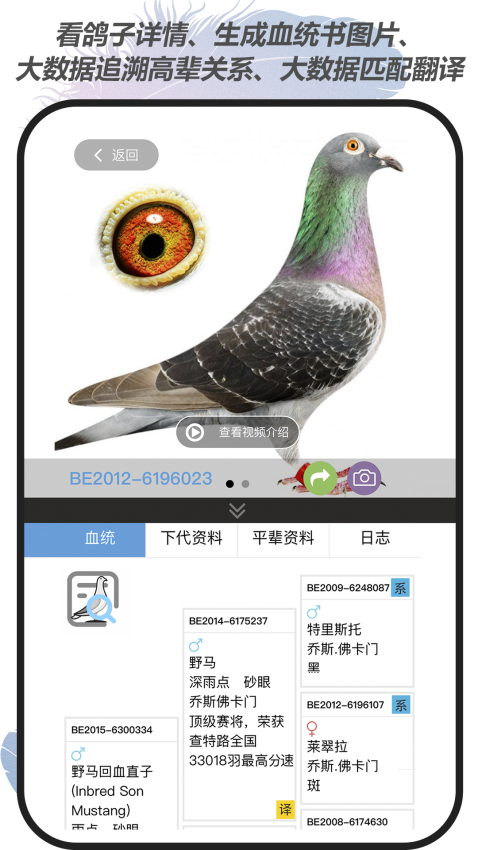 赛鸽云鸽舍管理系统