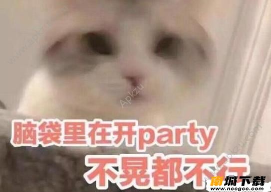 美女宝贝今夜不让你入睡come on歌名伴奏bgm分享图片2