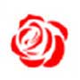 残花视频APP