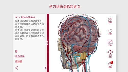 解剖和生理学安卓版 v6.2.00