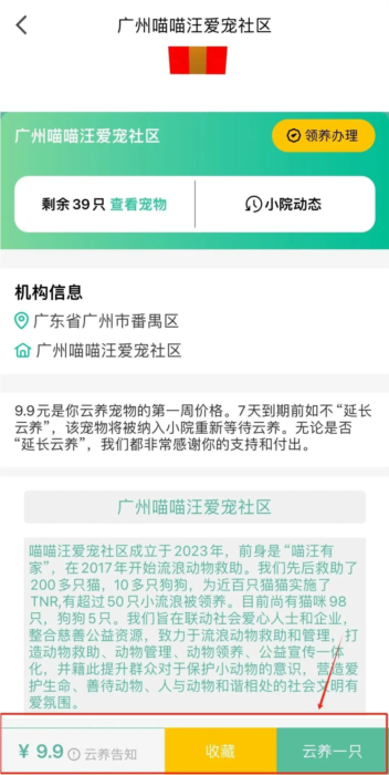 握爪11