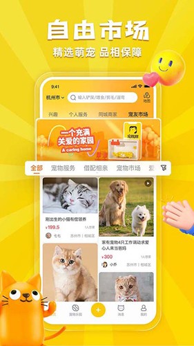 appv6.0.8