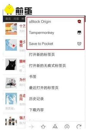 猕猴桃浏览器手机版下载(Kiwi Browser)