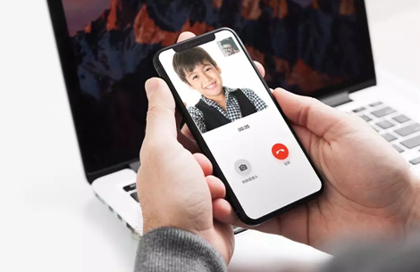 haymeet小鳄鱼图片8
