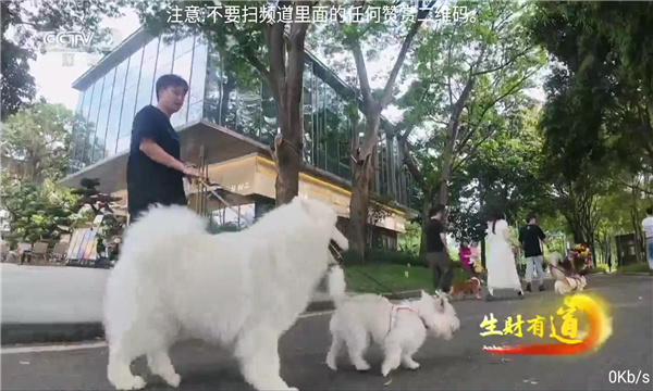 落日tv版下载官方免费版图片1