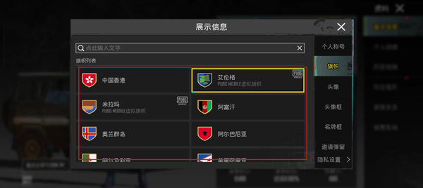 绝地求生国际体验服兼容版