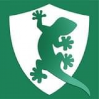 壁虎浏览器安卓下载