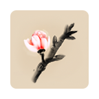 冬蜃楼(Mirages of Winter) v1.0.4汉化版