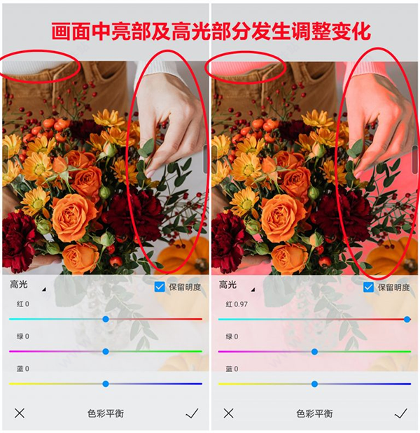 熊猫绘画20