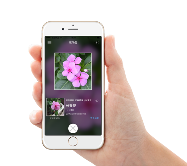 花伴侣app2
