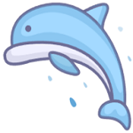 海豚视频app最新版