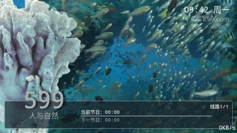 看个球TV电视版
