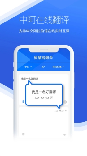 智慧宫翻译手机版21