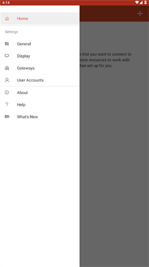 rd客户端 v10.0.19.