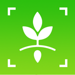 万物识图大师app最新版v1.1安卓版