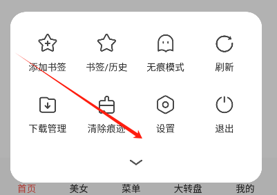 新宇浏览器app最新版(星宇浏览器)