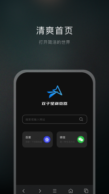 双子星浏览器 v1.0