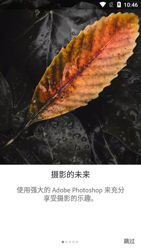 Adobe Lightroom mobile2