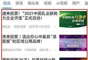 怎么投票配图2