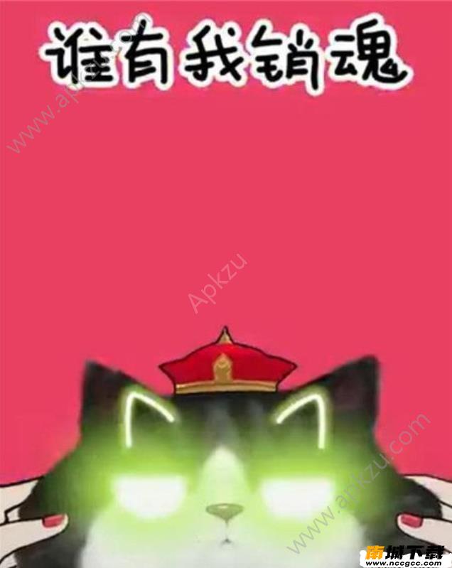 预览图3