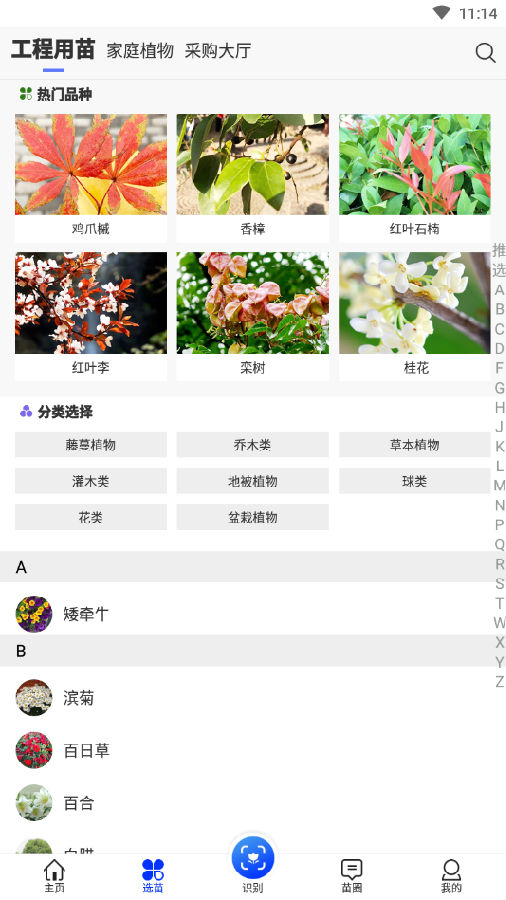 苗木之家 1