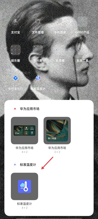 标准温度计app