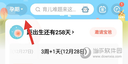 宝宝树孕育孕期