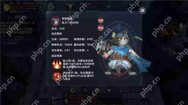 新神魔大陆魔宠远征攻略
