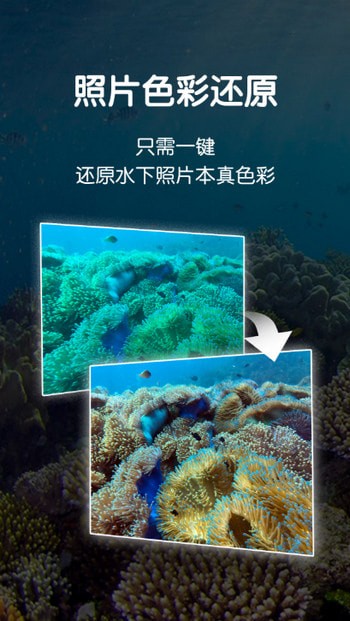 Dive+app官方版下载截图