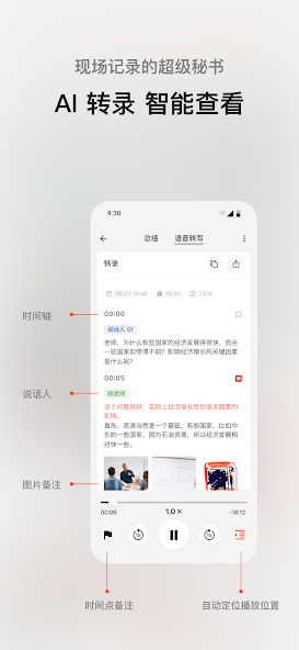 闪念贝壳