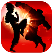 影子战斗  V2.6.19下载