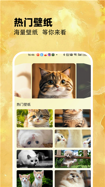 筑梦小猫舍APP2