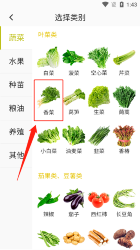 绿果网截图6
