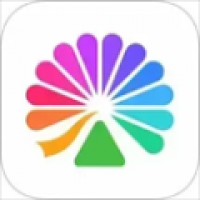 大麦app最新版下载