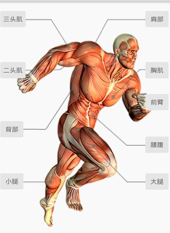 健身宝典安卓手机版