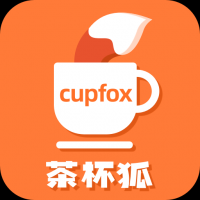 茶杯狐2024