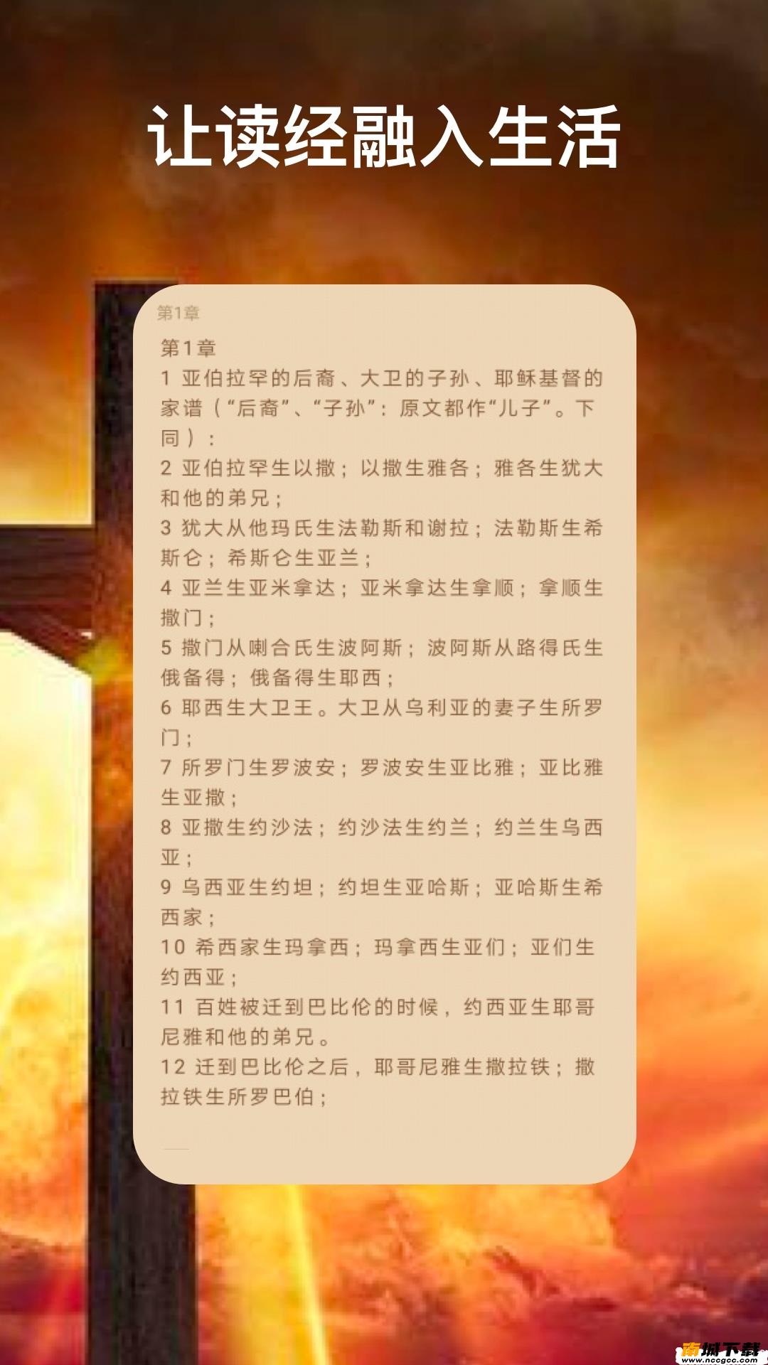 预览图3