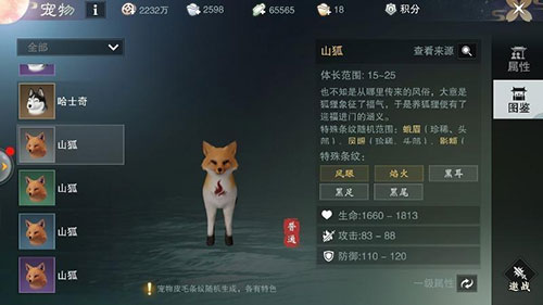 宠物攻略配图3