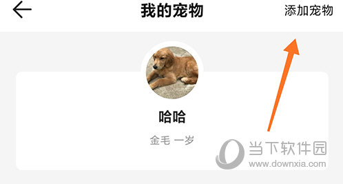 68宠物添加宠物